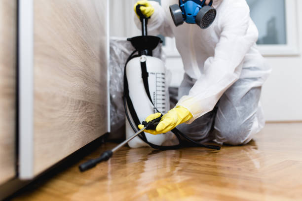Best Best Pest Control Companies  in Elyria, OH