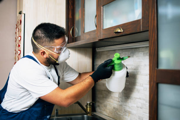 Best Pest Prevention Services  in Elyria, OH