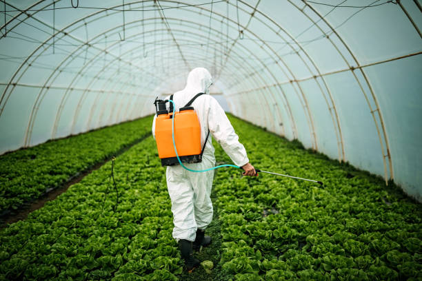 Best Affordable Pest Control Services  in Elyria, OH