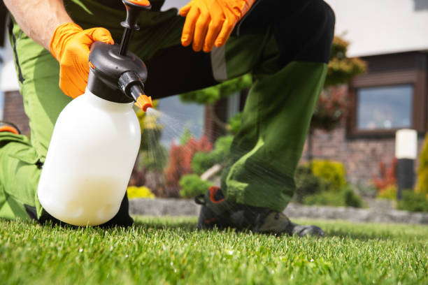Best Pest Control for Businesses  in Elyria, OH