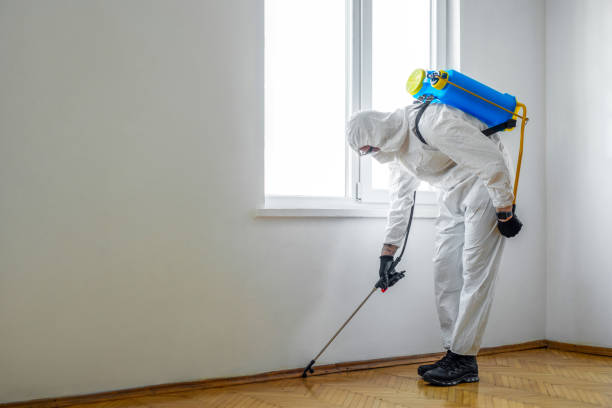Best Pest Inspection Near Me  in Elyria, OH